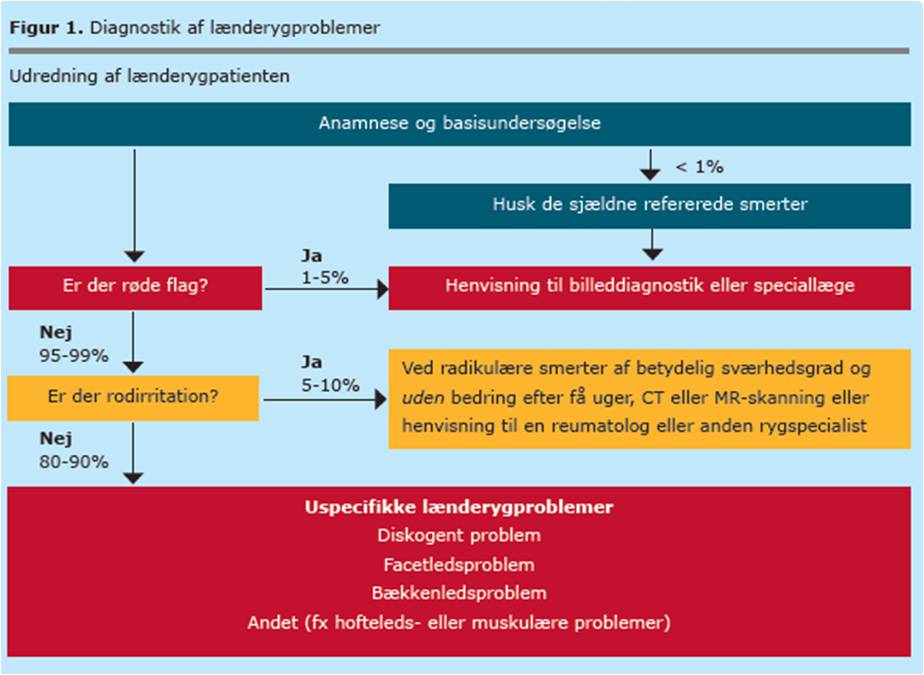 Diagnostik af laendeproblemer.jpg