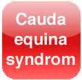 Cauda equina syndrom