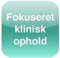 Fokuseret klinisk ophold