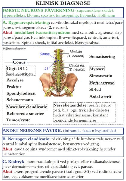 Fil:Kliniskdiagnose.jpg