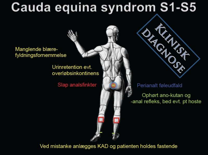 Fil:Ces klinik.jpg