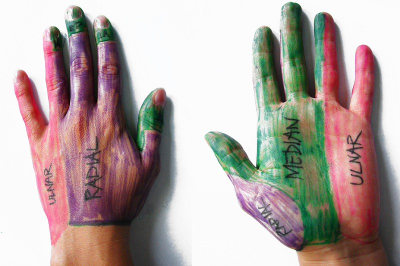 Fil:Hand.png