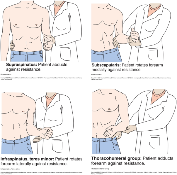 Fil:Shoulder test.png